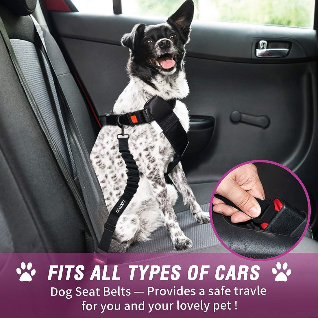 Pet seat belt 